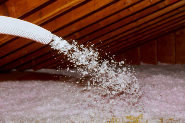Best Insulation Maintenance and Repair in Palo Cedro, CA