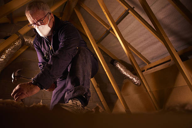 Best DIY Insulation Kits and Guidance in Palo Cedro, CA