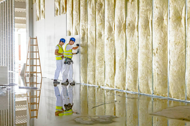 Best Geographic-Specific Insulation Services in Palo Cedro, CA